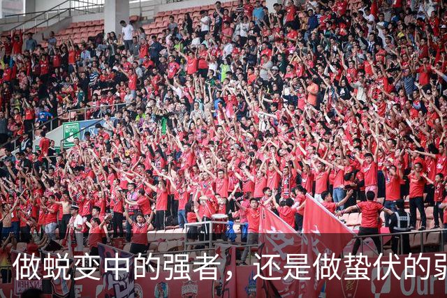 做蜕变中的强者，还是做蛰伏的弱者？宁波FC再战广西恒宸有玄机