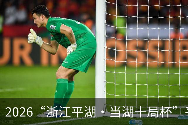 2026“浙江平湖·当湖十局杯”平湖开幕
